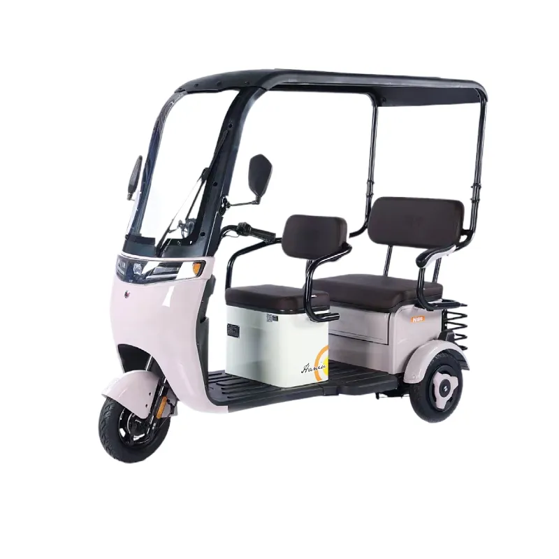Triciclo elettrico di vendita caldo della ruota del passeggero del triciclo elettrico della fabbrica della cina con il sedile posteriore
