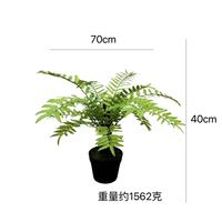 Plantes vertes artificielles, fougère, décoration intérieure de style forêt originale, aménagement paysager sur pied, plantes en pot
