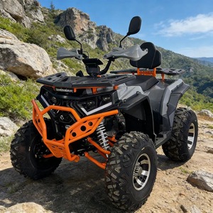 Kart fuoristrada 200CC a catena, quattro tempi, a benzina, per <span class=keywords><strong>montagna</strong></span>/spiaggia, con velocità massima di 80 km/h - Product Image 2