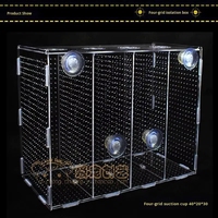 Boîte d'élevage et d'isolement pour poissons en acrylique écologique avec ventouses pour incubateur d'aquarium et jeunes poissons
