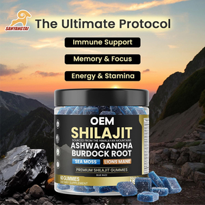 Gomitas de Shilajit del Himalaya OEM con Musgo Marino, Ashwagandha, Minerales Traza, Raíz de Bardana Orgánica y Champiñón Melena de León - Product Image 2