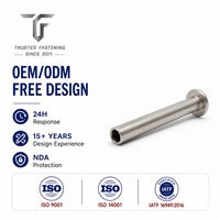 Rivets semi-tubulaires à tête plate en aluminium TianFang pour clips de montage solaire, production en volume, tailles personnalisées et approvisionnement stable par lots