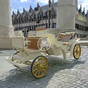 Похоронные экипажи, уникальная принцесса, лошадь, тыква, свадебная карета в английском стиле, Виктория, тыква, золотые конные повозки