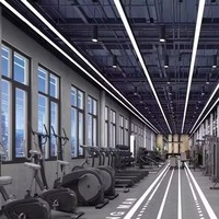 Lampe suspendue LED rectangulaire personnalisée 1,2x2,4m, luminaires sans ombre pour salle de sport, luminaire linéaire suspendu, température de couleur 3000K-6000K, 110V