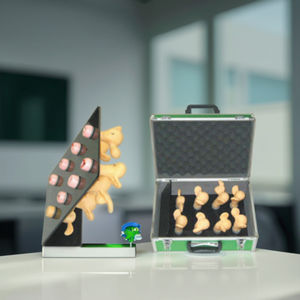 Modelo Anatómico de Lesiones Cervicales Uterinas de 8 Piezas para Entrenamiento de Enfermeras y Escuelas de Medicina - Product Image 3