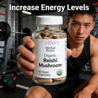 Cápsulas de Extracto de Café de Hongo Reishi en Oferta, Veganas, Orgánicas, Antioxidantes, con Esporas de Ganoderma Lucidum, Hierbas para el Apoyo Inmunológico