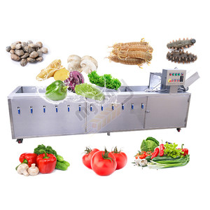 Muselina Industrial de <span class=keywords><strong>tomate</strong></span>, plátano, ajenjo, limpiador <span class=keywords><strong>con</strong></span> fecha, caña de azúcar, naranja, fruta, 100kg, máquina de lavado - Product Image 4