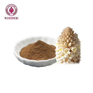 30% Echinacoside 12% extrait d'acteoside Cistanche Tubulosa suppléments naturels pour boissons énergétiques - Product Image 1