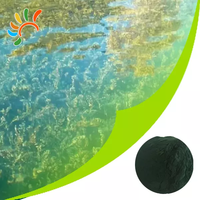 Poudre et comprimés de spiruline en gros d'usine de haute qualité Nourrir et qualité alimentaire riche en protéines et phycocyanine (E3-E25)