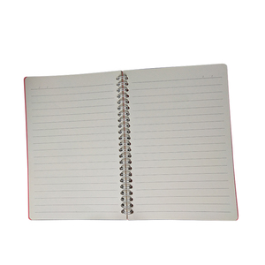 Colorful Hardcover A5 Spiral Binding Eco-friendly Printed Planner <b>Notebook</b> with Custom Logo - Product Image 5