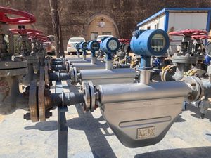 เครื่องวัดการไหลของของเหลวแบบ Coriolis รุ่น Micromotion Slurry Mass RS485 ความแม่นยำสูงสำหรับอุตสาหกรรม - Product Image 2