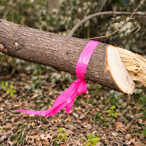 Cinta de Señalización de Alta Visibilidad de 50 mm x 100 m, Cinta de PVC Brillante para Zonas de Construcción y Avisos de Seguridad - Product Image 6