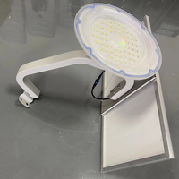 Lumière solaire de jardin au design libre Lumière solaire extérieure étanche Ip65 100W 200W 300W 800W Lampes de jardin solaires Projecteur solaire