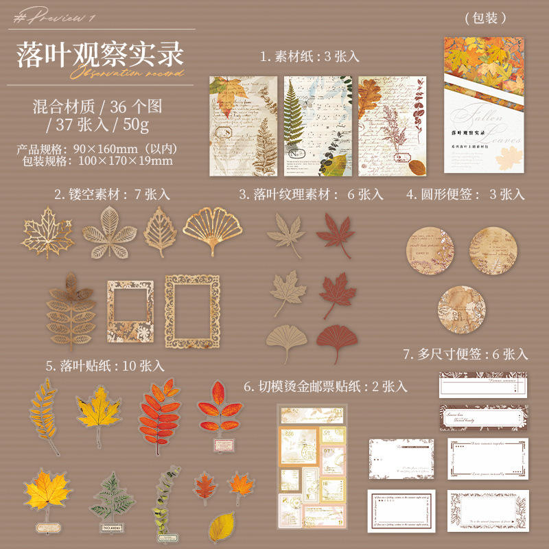 Field Notes on Falling Leaves orange