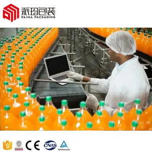 User friendly Automatic PET Bottle Carbonated Water Filling Machine / Machinery / Equipment