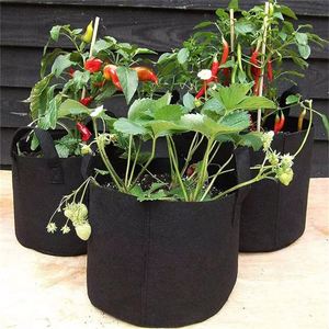 Bolsas de Cultivo de Patatas de 5 Galones a Precio Económico, Macetas de Tela para Jardín e Invernadero - Product Image 5