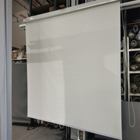 Stores enrouleurs manuels/motorisés pour la décoration intérieure, stores enrouleurs à commande par chaîne en plastique