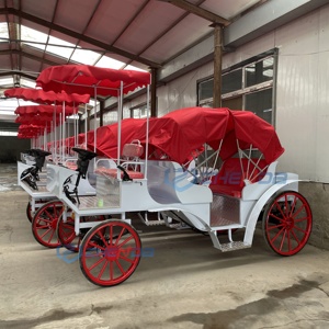 Voiture de tourisme électrique sur mesure à double rangée, spéciale mariages et visites touristiques - Product Image 2