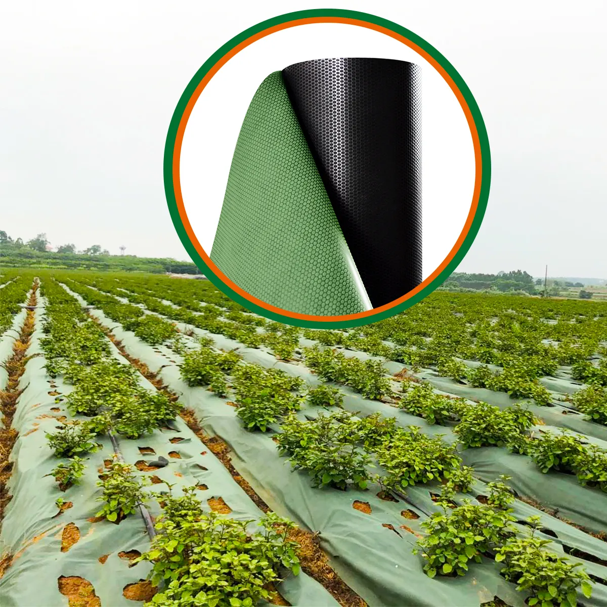Wholesales Free Sample Plants Cover Outdoor Breathable Water Penetration Ground Cover Weed Mat Fabric Anti Grass Cloth