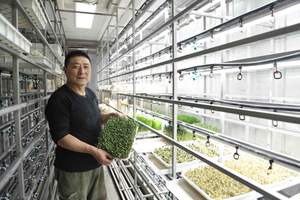 Contenedor de Envío de Acero Inoxidable de 40HQ para Granja Hidropónica, Invernadero, Sistema de Cultivo Vertical, Máquina para Producción de Forraje y Planta - Product Image 3