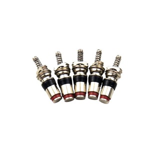แกนวาล์วแบบก้นแบน 5V1 เกลียวทองแดงแบบไม่มียางใน สำหรับวาล์วแอร์รถยนต์แรงดันสูง รุ่น PT4 - Product Image 4