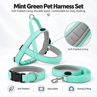 Kit de laisse et collier en nylon pour animaux de compagnie, stable et réglable, pour chiens de petite, moyenne et grande taille