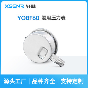 Manómetro de Oxígeno Suzhou Xuan Sheng 2.5Mpa de Acero Inoxidable con Conexión Roscada Analógica para Gas de Alta Pureza - Product Image 3