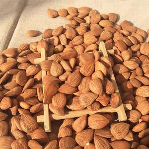 Harga Murah Kacang <span class=keywords><strong>Almond</strong></span> Pasokan Grosir Berkualitas Tinggi dan Bernutrisi - Product Image 4