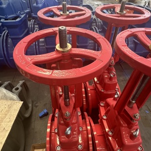 -Inch gang Van cổng với tăng STEM đàn hồi ngồi van cho nước của nhãn hiệu điện nhà máy trực tiếp giá - Product Image 6