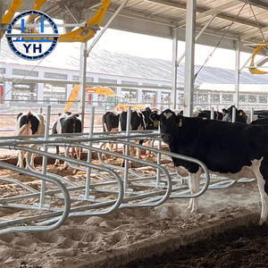 Stalla per Mucche in Struttura d'Acciaio Progettata Professionalmente, Edificio Agricolo a Montaggio Rapido, Struttura in Acciaio per Allevamento in Vendita - Product Image 2