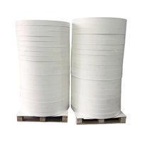 Papier jetable biodégradable et écologique en matériaux recyclés, laminé PE de qualité alimentaire, double face enduite, impression quadricolore