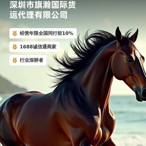 Logística Internacional Qihan, Transporte Marítimo LCL desde China a Estados Unidos, Envío Exprés de Mercancías Generales con Recogida Local - Product Image 2