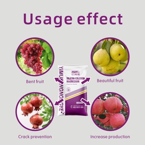 Chất Lượng Cao Hữu Cơ Trang Trại Phân Bón Cao Năng Lượng Silicone Hạt Giống Cho Rau Và Cây Ăn Quả Nông Nghiệp Cho Cây Táo - Product Image 4
