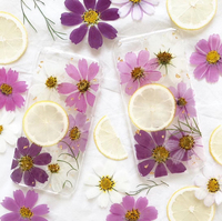Fiori Pressati Cosmos, Fiori Essiccati, Fiori Pressati per Nail Art, Esemplari Botanici, Creazioni in Resina, Regali per le Feste, Confezionati Sottovuoto