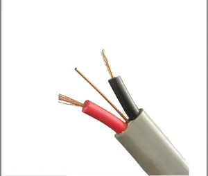 Tps Sdi câble double câblage en cuivre cordon d'alimentation fil de noyau de cuivre ce ccc câble d'alimentation