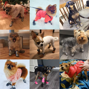 Chaussures d'hiver antidérapantes <span class=keywords><strong>pour</strong></span> petits chiens, en polaire super chaudes, <span class=keywords><strong>bottes</strong></span> de neige en PU imperméables <span class=keywords><strong>pour</strong></span> chiots, <span class=keywords><strong>chihuahua</strong></span>, teddy, chaussures de marche - Product Image 5