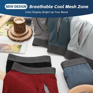 उच्च गुणवत्ता वाले आरामदायक प्लस आकार पुरुषों के बॉक्सर संक्षिप्त कस्टम लोगो मेष सांस लेने योग्य नरम उच्च लोच पुरुषों के सहज अंडरवियर - Product Image 5