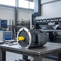 Moteur asynchrone haute tension professionnel à haut rendement pour presse plieuse
