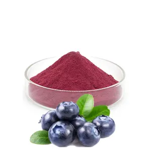Top Quality fruit juice powder anthocyanins 25% 100% natural Acai Berry Extract powder