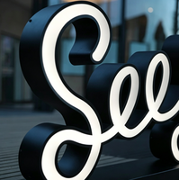 Lettres en acier inoxydable 3D LED, enseignes lumineuses personnalisées pour les devantures de magasins, restaurants, hôpitaux, entreprises - IP65