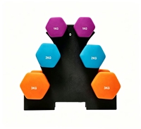 Ensemble d'haltères en fonte néoprène coloré de 12 kg avec support pour la maison et la salle de sport