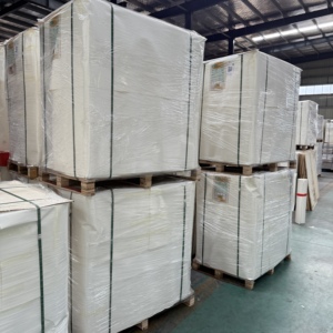 กระดาษเคลือบ PE เกรดอาหาร หนา 150-320 แกรม สำหรับทำพัดกระดาษแบบใช้แล้วทิ้ง - Product Image 6