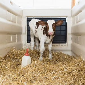 <span class=keywords><strong>Enclos</strong></span> portable pour veau avec porte d'alimentation, clôture pour veau, petite vache, cabine blanche confortable, logement individuel pour veau, vente chaude - Product Image 5