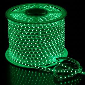 Bande lumineuse LED flexible SMD5050 RGB à changement de couleur, 110V 220V, étanche pour extérieur, pour éclairage décoratif d'ambiance de projet paysager - Product Image 1