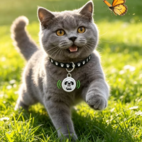 Collier de suivi GPS pour chien et chat, mini traceur Bluetooth étanche anti-perte pour animaux de compagnie, dispositif de localisation intelligent en temps réel, batterie 1 an