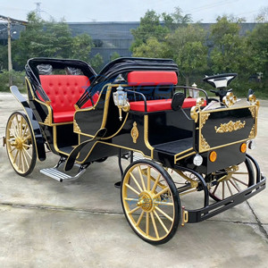 Calèche électrique populaire pour visites touristiques avec capote, calèche classique à toit ouvert et sièges souples pour excursions - Product Image 1