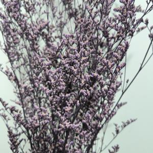 Korunmuş doğal kurutulmuş çiçekler toptan caspia puslu Limonium korunmuş Limonium çiçekler çim korunmuş çiçekler ve bitkiler - Product Image 3