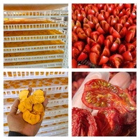 Goede prestatie fruit groente voedsel mango en tomaat warmtepomp droogmachine