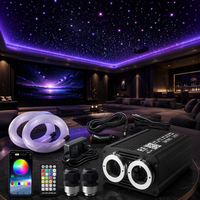 Kit d'éclairage LED RVBW intelligent à fibres optiques scintillantes, double port, contrôle par application, pour décoration de plafond de voiture et de maison, effet ciel étoilé