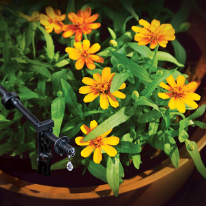 毎日ウォーターガーデン<span class=keywords><strong>Wifi</strong></span>自動灌漑散水スマートソーラープログラム可能Wi-Fiホースタイマー用 - Product Image 5